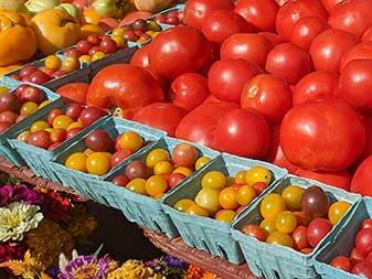 Dupont Circle's farmers market fruit and vegetable display 